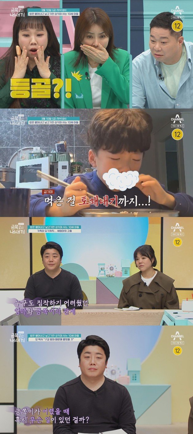 채널A ‘요즘 육아 - 금쪽같은 내새끼’