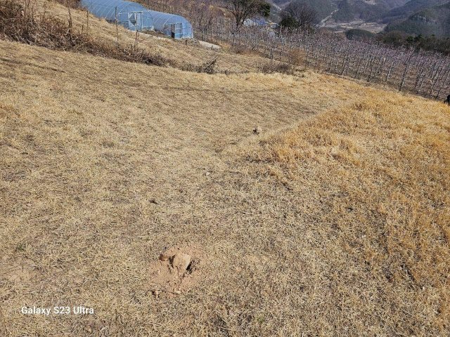 더불어민주당 이재명 대표가 12일 경북 봉화군에 위치한 부모의 묘소가 훼손됐다고 밝혔다.  사진 출처 이 대표 페이스북