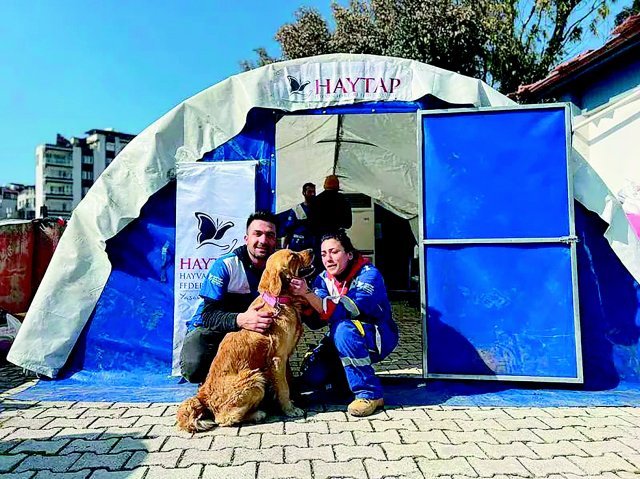 동물단체 하이타프(HAYTAP)는 지진 피해 도시에서 임시 동물병원을 운영하며 동물을 위한 무료 진료 서비스를 제공하고 있다.