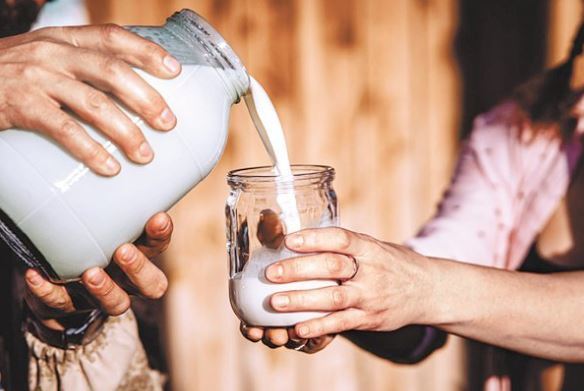 게티이미지코리아