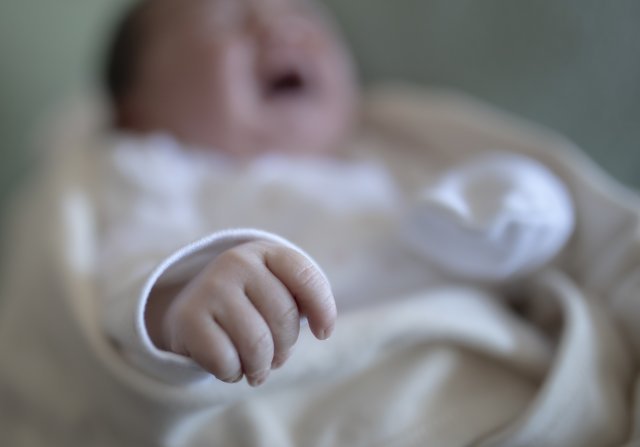 기사와 직접적 관련 없는 참고사진. 게티이미지뱅크