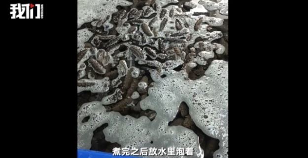 신경보 홈페이지