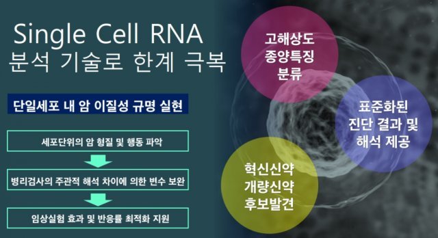 출처: 위트젠