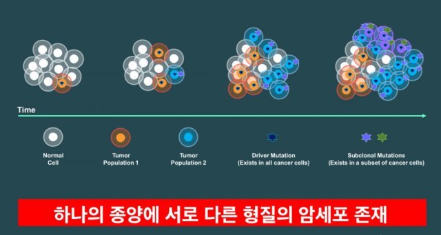 하나의 암 종양에 서로 다른 형질의 암세포가 존재할 수 있다, 출처: 위트젠