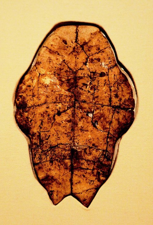 3500년 전 상나라 왕 우딩 시기의 갑골문을 보면 거북의 등딱지가 갈라진 모양을 보면서 점을 쳤음을 알 수 있다. 갑골 위에는 비가 며칠 뒤에 올지를 묻는 내용이 적혀 있다. 강인욱 교수 제공