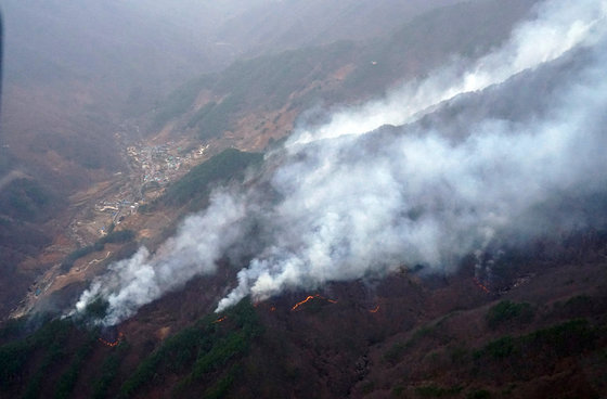 경남 하동군 화개면 대성리 산에서 지난 11일 발생한 산불.  (산림청 제공)