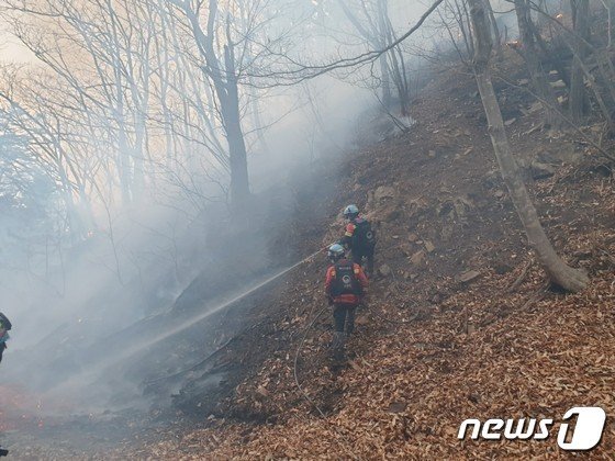 산불진화대 산불진화 모습