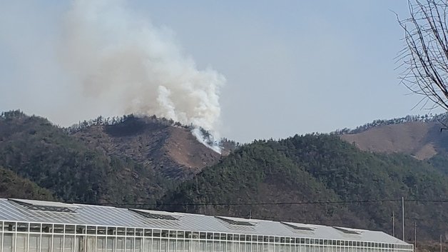 전남 화순군 청풍면 신리 일대에서 산불이 나 연기가 피어오르고 있다. (산림청 제공) / 뉴스1