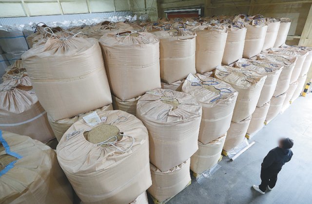 초과 생산된 쌀을 정부가 의무적으로 사들이도록 하는 양곡관리법 개정안이 23일 국회 본회의를 통과한 가운데 경기도의 저온저장고에서 한 관계자가 지난해 수매한 쌀을 바라보고 있다. 뉴스1
