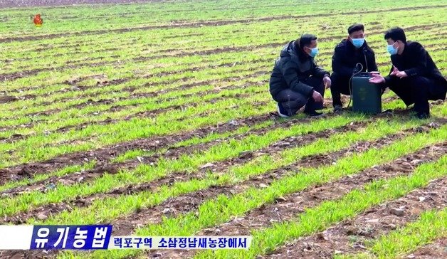 조선중앙TV가 22일 보도에서 ‘유기농법’의 이점을 선전하고 있다. 조선중앙TV 갈무리 ⓒ News1