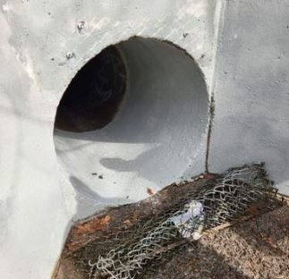 뉴욕시 소방국(FDNY) 트위터 갈무리