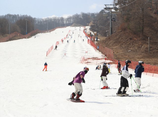 26일 강원도 평창군 휘닉스파크 스키장을 찾은 스키어들이 슬로프에서 올겨울 마지막 스키를 즐기고 있다. 김재명 기자 base@donga.com