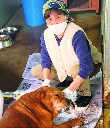 안성 평강공주 보호소를 운영하고 있는 김자영 소장. 종일 아픈 유기견을 돌보느라 바쁘다.