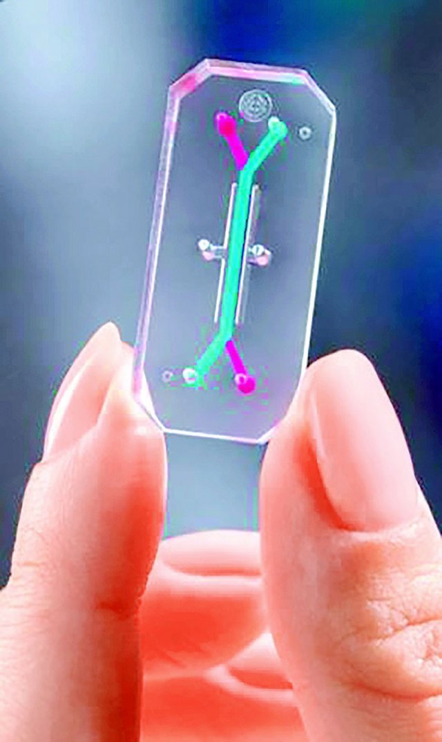 미국의 개발사 ‘에뮬레이트’에서 개발한 ‘장기 칩’의 모습. 인간의 생리현상을 작은 칩을 통해 구현할 수 있다. 에뮬레이트 홈페이지