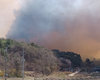2일 오전 충남 홍성군 서부면의 야산에서 화재가 발생했다. 홍성=이기진 기자 doyoce@donga.com