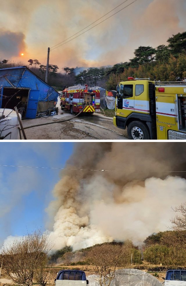 충남 홍성군 서부면에선 산불이 축구장 420개 면적인 약 300ha를 태워 소방 당국이 밤샘 진화에 나섰고(위 사진), 전북 고창군 상하면 송곡리의 한 야산에서도 화재가 발생했다. 홍성·고창=뉴스1