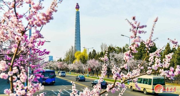 북한 노동당 기관지 노동신문이 5일 공개한 ‘4월의 봄’을 맞은 평양 시내 모습. 사진 왼편 하단에 포착된 버스는 과거 개성공단 북측 근로자들의 통근용으로 사용됐던 현대자동차의 ‘에어로시티’ 버스로 추정된다. (평양 노동신문=뉴스1)