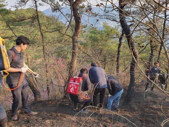 서울 종로구 직원들이 3일 오전 서울 종로구 인왕산에서 전날 발생한 산불의 불씨 제거 작업을 하고 있다. 종로구청 제공