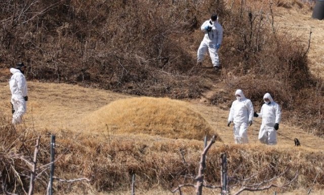 경북경찰청 전담수사팀이 3월 13일 경북 봉화군 명호면에 소재한 이재명 대표의 부모 묘소에서 현장 검증을 하고 있다. 뉴시스