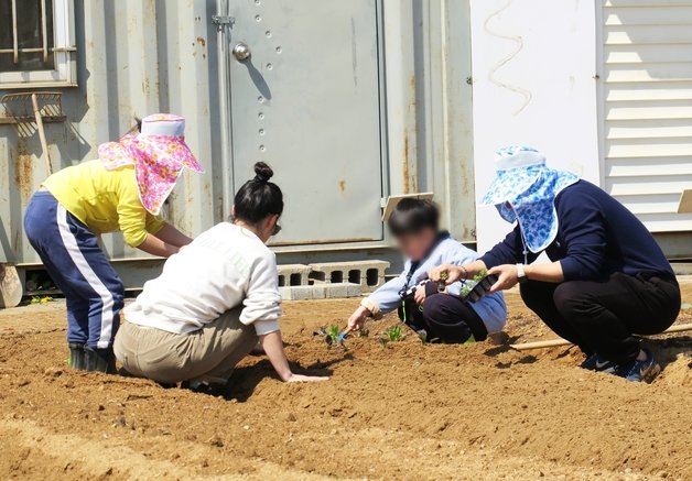 8일 오전 11시께 인천시 남동구 공공주말농장에서 휴일을 맞아 시민들이 분양받은 텃밭을 가꾸고 있다. 시민들은 화창한 날씨 쏙 가족, 지인들과 함께 삼삼오오 모여 상추, 당근 등 묘종을 심고 가꾸면서 웃음꽃을 피웠다.2023.4.8/뉴스1 ⓒ News1