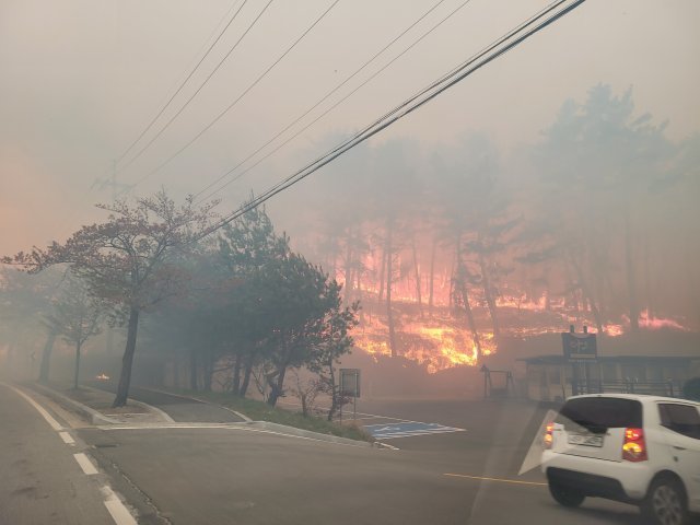 강릉시 난곡동에서 난 산불이 민가 쪽으로 번지고 있다. 강원소방본부 제공.