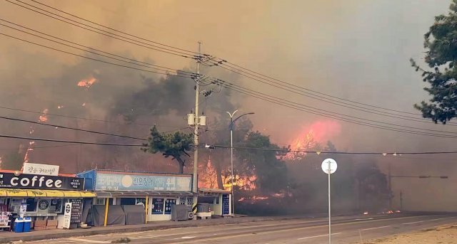 11일 오전 강원도 강릉시 난곡동 한 야산에서 산불이 발생해 검은 연기가 피어오르고 있다. 소방청 제공