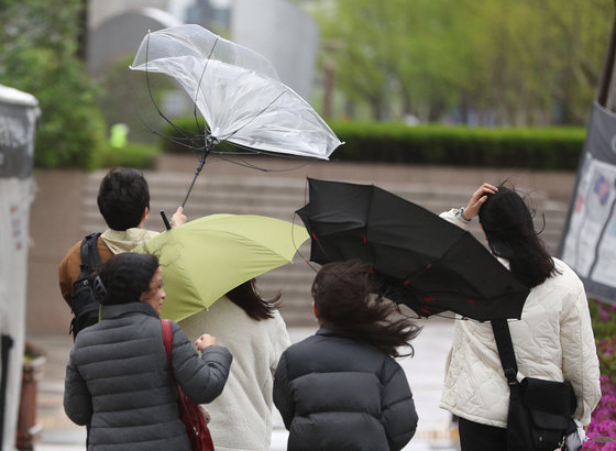 전국에 강풍이 몰아치고 있는 11일 서울 청계광장 인근에서 시민들이 쓴 우산이 뒤집히고 있다. 기상청은 내륙에 순간초속 20m, 동해안은 30m의 태풍급 돌풍이 이어지고 있다며 강풍이 이날 밤까지 이어질 것으로 예보했다. 2023.4.11/뉴스1