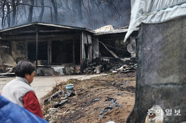 11일 오후 화재 피해를 입은 강릉시 운정동의 한 마을에서 대피했던 이재민이 잿더미만 남은 집으로 돌아오고 있다. 양회성 기자 yohan@donga.com