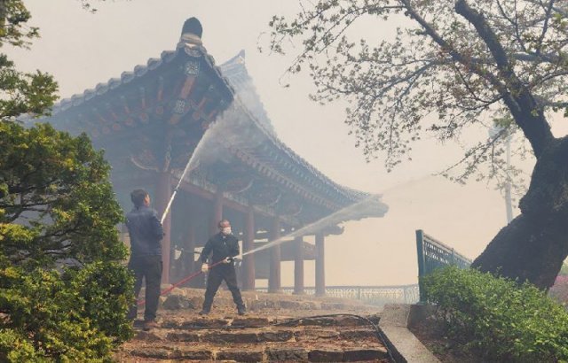 강원 강릉시 직원들이 11일 산불이 경포대에 옮겨붙는 것을 막기 위해 미리 정자에 물을 뿌리고 있다. 강릉=뉴시스