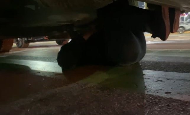 건설현장 차량 밑으로 들어가 운행을 방해하는 노조원. 경기남부경찰청 제공