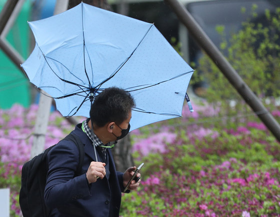 전국에 강풍이 몰아치고 있는 11일 서울 청계광장 인근에서 시민들이 쓴 우산이 뒤집히고 있다.ⓒ News1