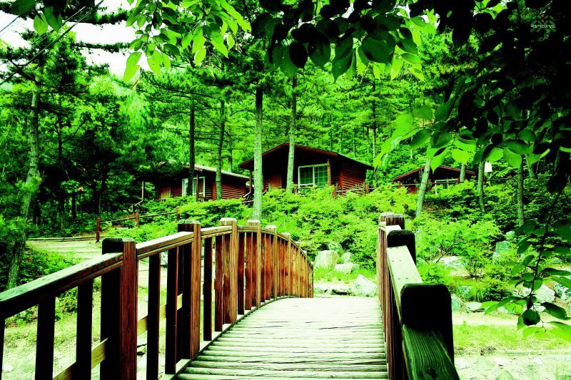 충남 서천 희리산해송자연휴양림 숲속의 집.