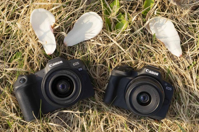 풀프레임 카메라인 캐논 EOS R8(좌)과 APS-C 카메라인 캐논 EOS R50(우). 출처=IT동아