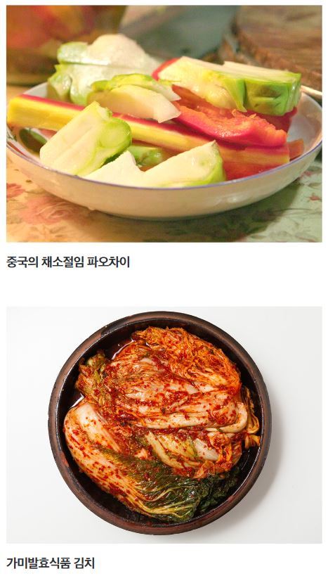 채소절임 파오차이(위)·가미발효식품 김치. 동북아역사재단 제공