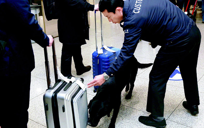 인천국제공항 여객터미널에서 인천공항본부세관 관계자가 마약 탐지견을 이용해 마약 소지 여부를 검사하고 있다. 최근 마약 범죄에 대한 사회적 우려가 커지면서 인천본부세관과 검찰, 경찰 등 인천 주요 기관들이 힘을 모아 총력 대응에 나서기로 했다. 인천공항본부세관 제공