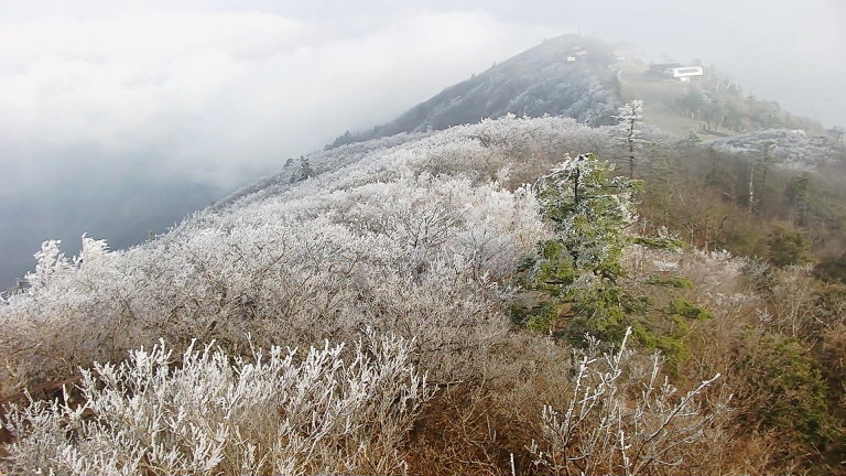 전북 무주군 덕유산이 26일 오전 영하 3.3도로 떨어지면서 향적봉과 중봉 주능선에 상고대가 길게 형성됐다. 국립공원사무소 제공