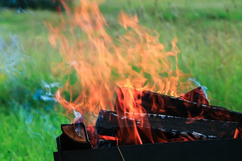 기사와 무관한 이미지. 게티이미지뱅크