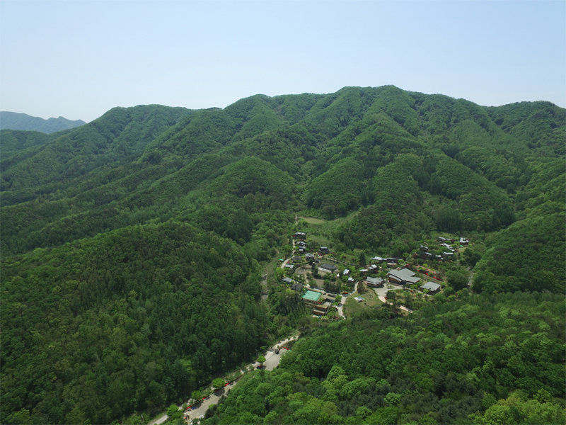 SK임업이 보유한 충주 임지 전경. SK임업은 50년간 서울 여의도 면적의 15배에 달하는 산림을 조성했다. SK임업