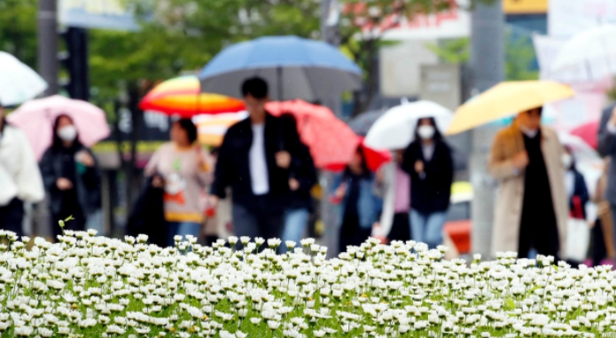 비가 내린 25일 광주 북구 공무원들이 점심식사를 마치고 우산을 쓴 채 오후 업무를 위해 청으로 복귀하고 있다. 2023.4.25. 광주 북구 제공/뉴스1