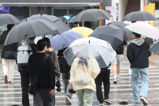 봄비가 내리며 기온이 크게 내려간 25일 오전 경북 경산시 대학로에서 우산을 쓴 시민들이 횡단보도를 따라 길을 건너고 있다. 2023.4.25/뉴스1
