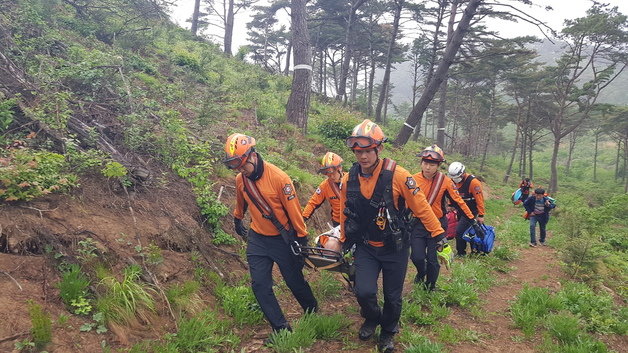4일 오후 3시33분께 전북 남원시 수지면의 한 야산에서 고사리를 채취하던 80대 남성이 실족해 5m 아래로 추락했다.(전북소방본부 제공)2023.5.4/