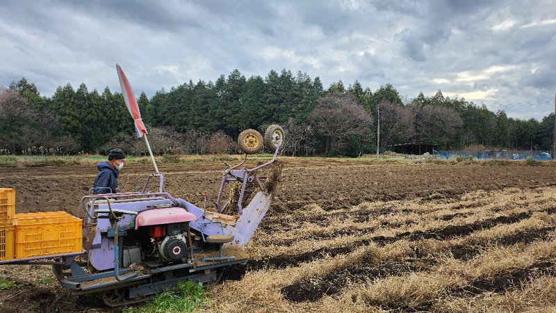 일본 이바라키현의 농촌에서 작업하는 모습. 일본은 2019년부터 수급 변동에 의한 가격 하락 등 농가의 경영 노력으로는 피할 수 없는 수입 감소를 보전해 주는 ‘농업경영수입보험’을 시행하고 있다. 농림축산식품부 제공