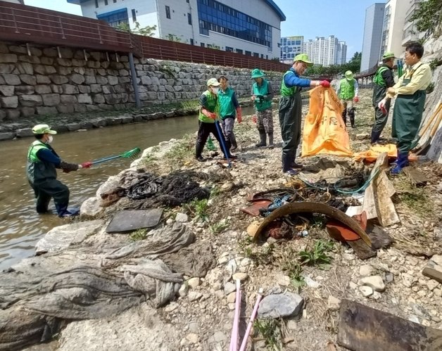 기온이 올라가면서 4급수의 오염된 물에 사는 깔따구가 기승을 부리자 대구 수성구가 지난 11일 범어천 하류에서 퇴적물을 제거하는 환경정비에 나서고 있다.(대구 수성구 제공)