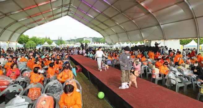 반려동물 축제인 ‘임실N펫스타’에 참여한 참가자들이 반려동물과 무대 위를 걷고 있다. 전북도 제공