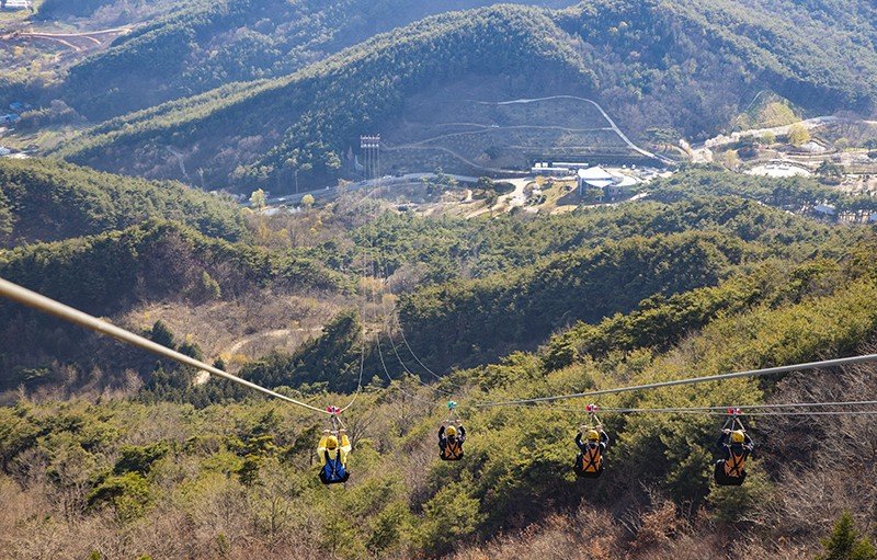 지리산정원의 스카이런은 국내 짚라인 체험 시설 가운데 최고 경사율을 자랑한다. 구례군 제공