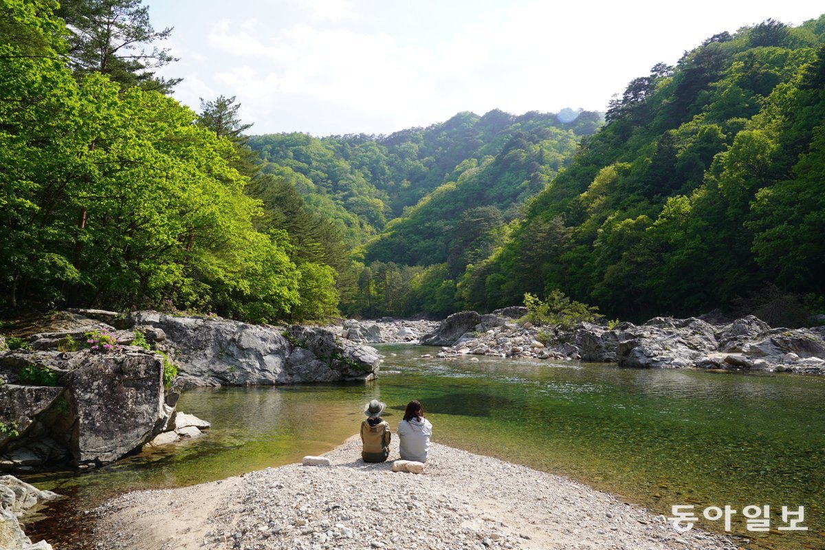 설악산 백담사 인근 계곡에서 물소리, 바람 소리를 들으며 명상하는 사람들.