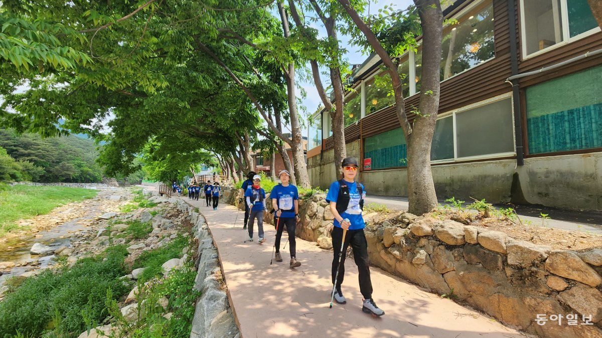 ‘국제노르딕워킹데이’ 참가자들이 경기 고양시 창릉천 솔내음누리길을 걷고 있다. 국제노르딕워킹협회 제공.