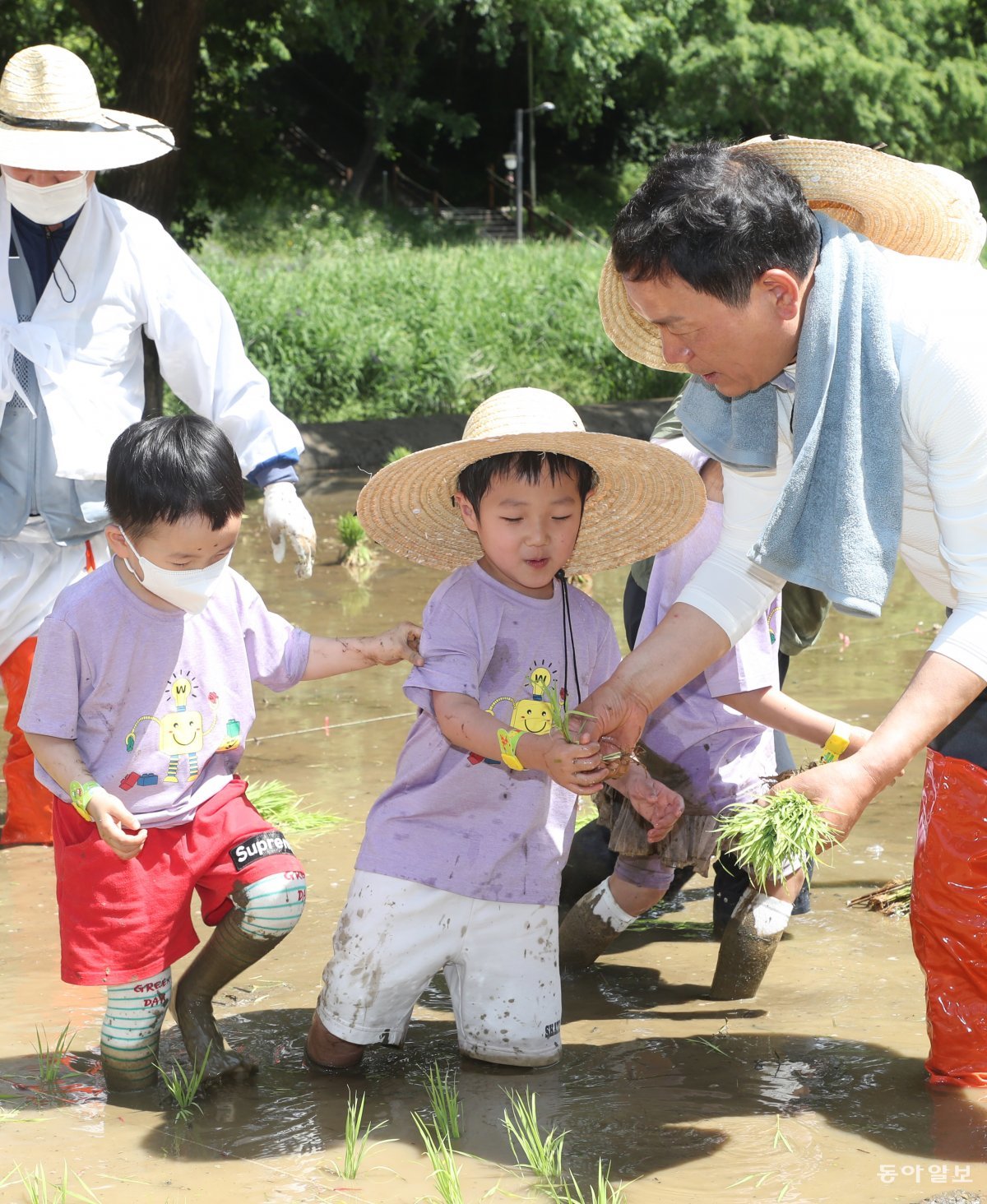 25일 오전 서울 강남구 개포동 양재천 벼농사학습장에서 열린 ‘양재천 전통 모내기 체험 행사’에서  조성명 강남구청장이 모를 심는 어린이들을 돕고 있다. 최혁중 기자 sajinman@donga.com