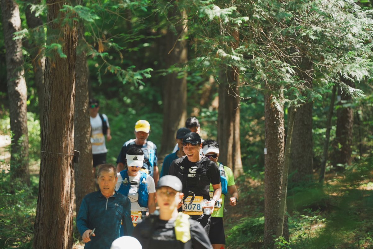 대전트레일온런 참가자들이 숲길을 줄지어 지나가고 있다. 대전트레일온런 사무국 제공