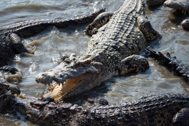 자료사진. 게티이미지뱅크